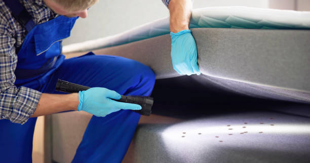 Best Pest Inspection Near Me  in Danvers, IL