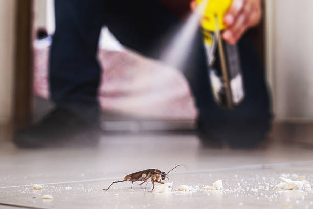 Best Exterminator Services  in Danvers, IL